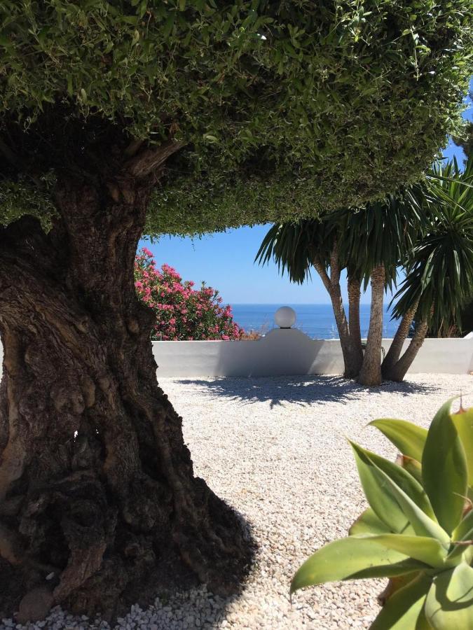 Casa Capricornio Bed and Breakfast Marbella Eksteriør billede
