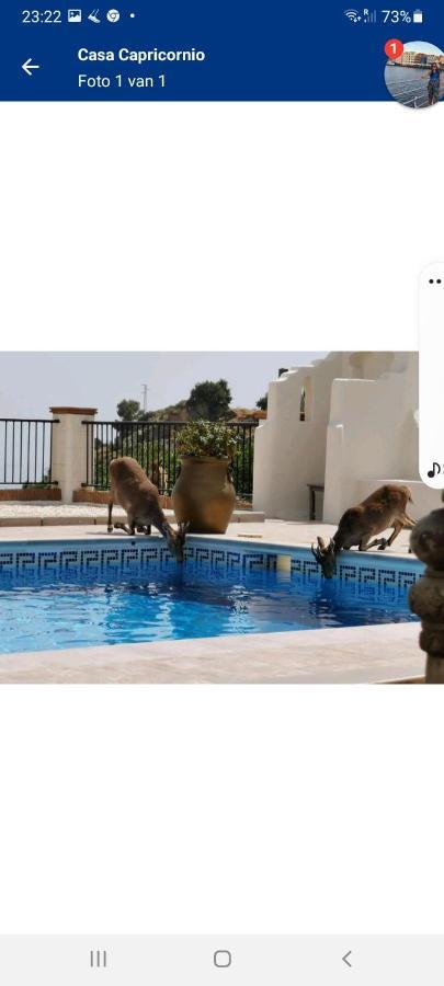 Casa Capricornio Bed and Breakfast Marbella Eksteriør billede